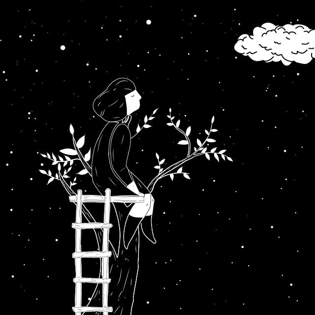 APONTAMENTOS SOBRE A ANGUSTIA